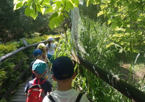 "MIKROKOSMOS".- grupa 1 i 2.