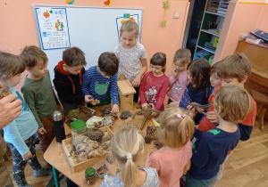 Warsztaty przyrodnicze: Drzewa naszym skarbem gr.3