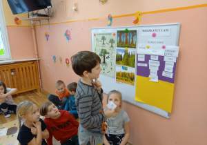 Wykonanie plakatów Las