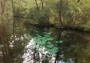 WYCIECZKA DO SKANSENU RZEKI PILICY- grupa 2.