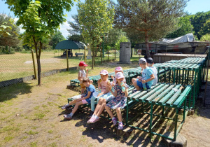 Skansen rzeki Pilicy gr 3