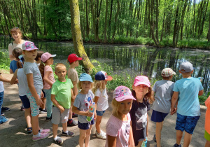 Niebieskie źródła gr 3