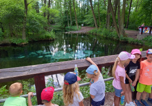 Niebieskie źródła gr 3