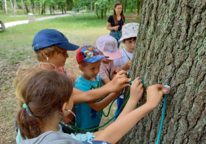 Warsztaty gr 3 osłuchiwanie drzew