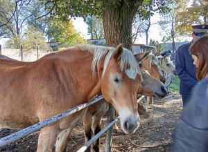 Wycieczka dzieci z grupy 2.