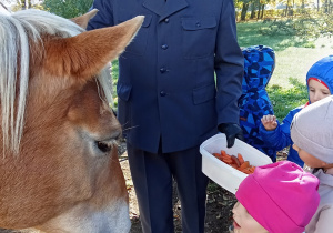 Dzieci wyciągają marchewki z pojemnika. Przygotowują się do karmienia koni.